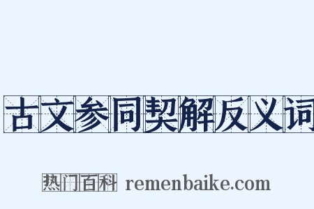 古文参同契解反义词是什么意思的图片